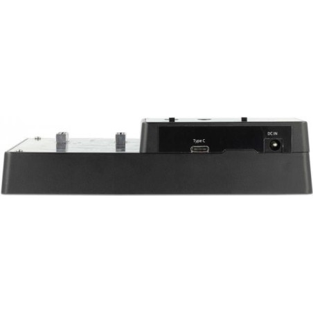 Delock - SSD-Dockingstation mit Klon-Funktion Schächte: 4 - M.2 - M.2 NVMe Card - USB 3,2 (Gen 2) - Schwarz (64124)