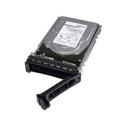 Dell - Festplatte - 2 TB - Hot-Swap - 3.5" (8.9 cm) - SAS 6Gb/s - 7200 U/min - für EMC PowerEdge T440, T640, PowerEdge R230, R3