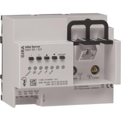 Server REG eNet 530100 (530100)