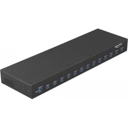 DeLock - Hub - 13 x USB 3,1 Gen 1 - an Rack montierbar (64039)