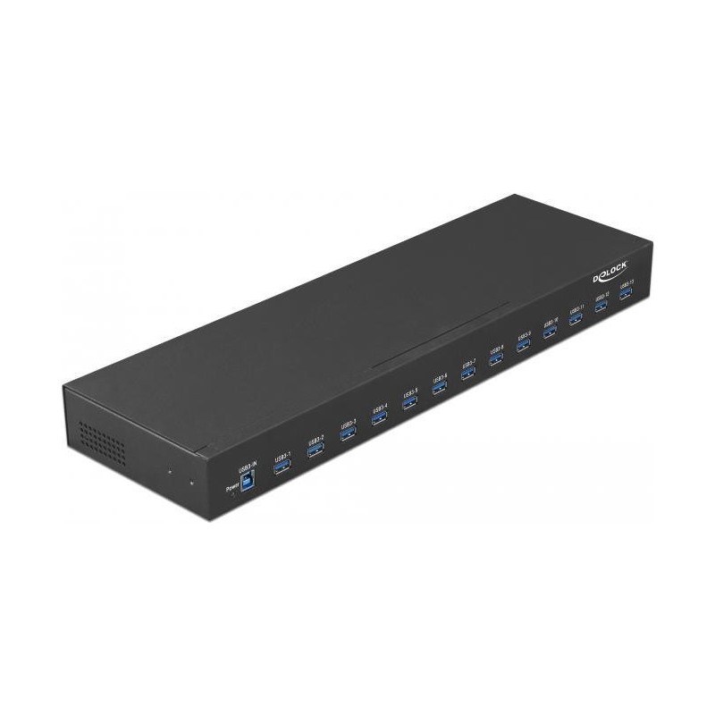 DeLock - Hub - 13 x USB 3,1 Gen 1 - an Rack montierbar (64039)