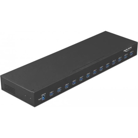 DeLock - Hub - 13 x USB 3,1 Gen 1 - an Rack montierbar (64039)
