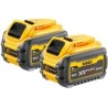 Dewalt DCB546T2-XJ 6A Akku-Set (DCB546T2-XJ)