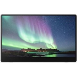 Ricoh 150BW mobiler Multi-Touch Monitor 39,60cm (15.6") - Full-HD, OLED-Display, 1ms, Akkubetrieb [Energieklasse C] (514910)