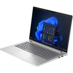 HP EliteBook 6 G1a AMD Ryzen 7 250 WUXGA - KI-Notebook - 1.000 GB (AD3J6ET#ABD)