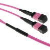 ACT 100 meter Multimode 50/125 OM4(OM3) polarity A fiber trunk cable with 2 MTP/MPO female connectors each side 100M 2X MTP(F)