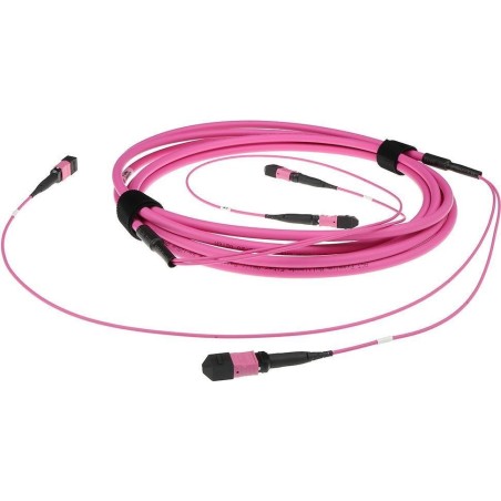 ACT 50 meter Multimode 50/125 OM4(OM3) polarity B fiber trunk cable with 2 MTP/MPO female connectors each side 50M 2X MTP(F) 50