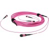 ACT 50 meter Multimode 50/125 OM4(OM3) polarity B fiber trunk cable with 2 MTP/MPO female connectors each side 50M 2X MTP(F) 50