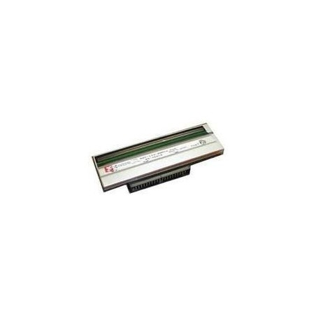 Intermec - 1 - 203 dpi - Druckkopf - für Intermec PM43, PM43c (710-129S-001)