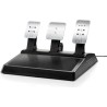 ThrustMaster T300 RS - GT Edition - Lenkrad- und Pedale-Set - verkabelt - für PC, PlayStation 3, PlayStation 4 (4160681)