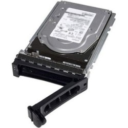 Dell - Festplatte - 2.4 TB - Hot-Swap - 2.5" (6.4 cm) - SAS 12Gb/s - 10000 U/min - für PowerEdge C6420, R340, R440, R640, R6415