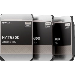 Synology HAT5300 - Festplatte - 12 TB - intern - 3.5" (8.9 cm) - SATA 6Gb/s - 7200 U/min - Puffer: 256 MB - für Deep Learning N