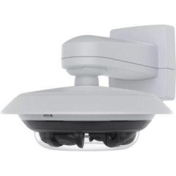 Axis P3748-PLVE - Netzwerk-Panoramakamera - Multi-Sensor - Kuppel - Außenbereich - Vandalismussicher / Wetterbeständig - Farbe