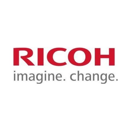 Ricoh Fax Option Type M29 - Fax-Schnittstellenkarte