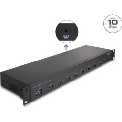Delock 19" Industrie Hub 10 x USB 10 Gbps Typ-A (64240)