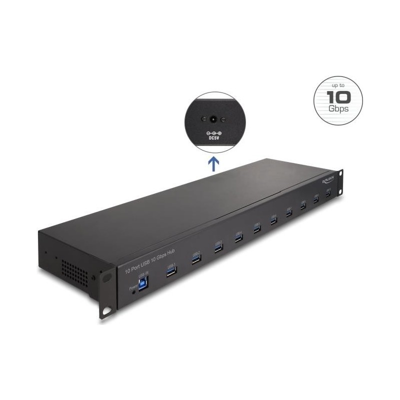 Delock 19" Industrie Hub 10 x USB 10 Gbps Typ-A (64240)