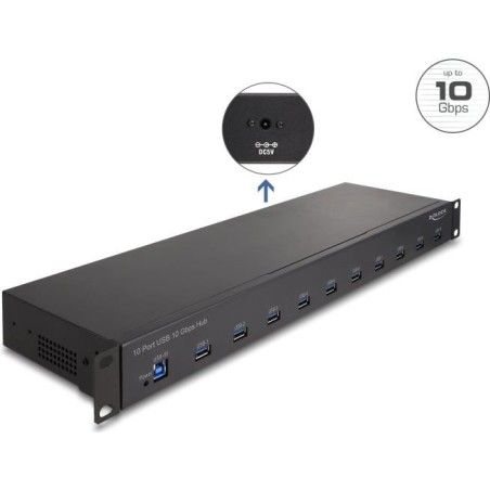 Delock 19" Industrie Hub 10 x USB 10 Gbps Typ-A (64240)
