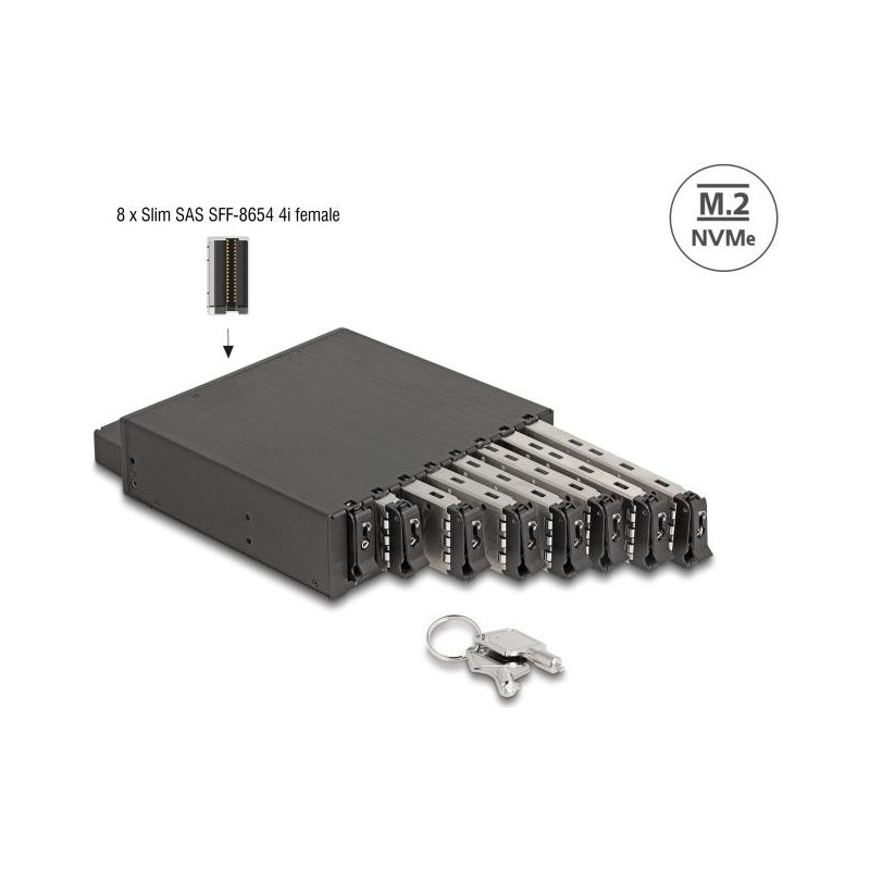 Delock - Mobiles Speicher-Rack - M.2 (47129)