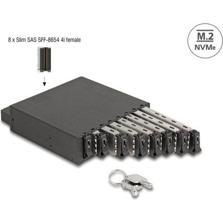 Delock - Mobiles Speicher-Rack - M.2 (47129)