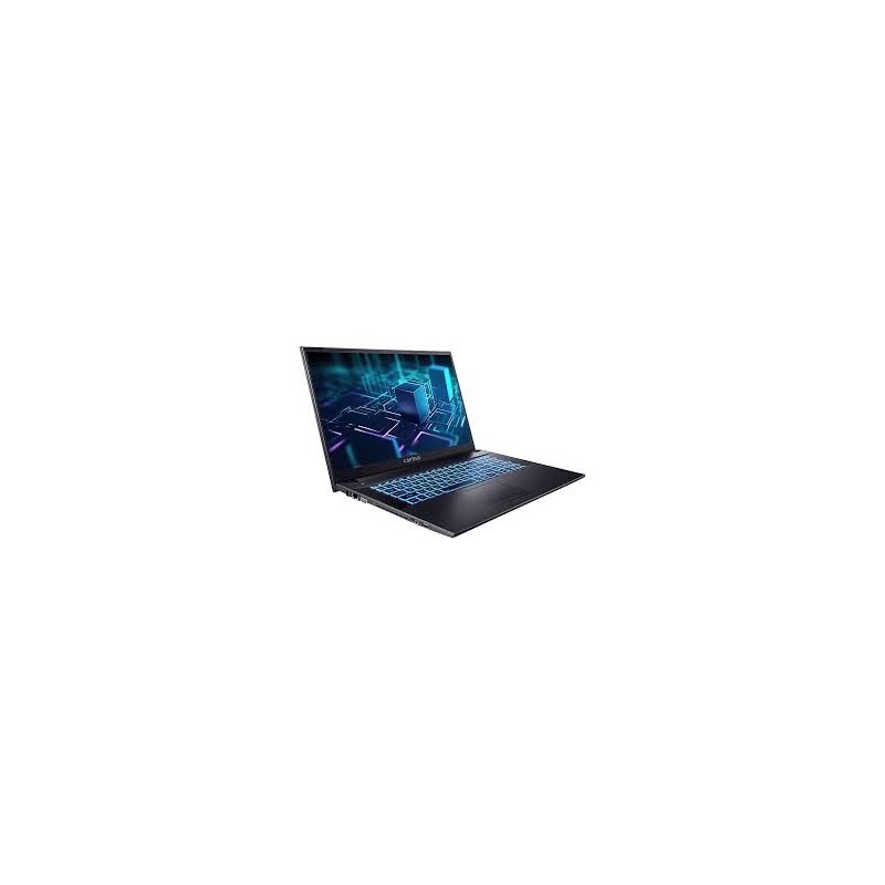 Captiva Power Starter I10-0502 Notebook i7-1255U 17.3" FHD 16GB RAM 500GB SSD Win 11 Pro DE QWERTZ
