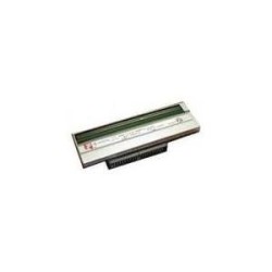 Intermec - Druckkopf - 1 - 203 dpi - für EasyCoder PX4IA (1-040082-900)