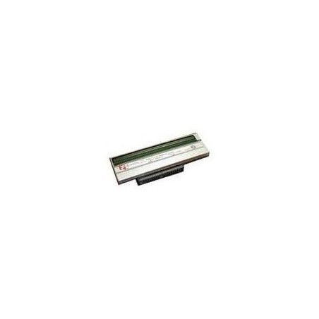 Intermec - Druckkopf - 1 - 203 dpi - für EasyCoder PX4IA (1-040082-900)